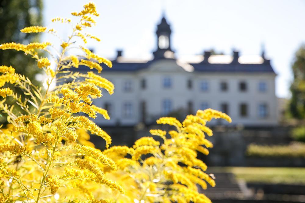 مبيت وإفطار إكيرو Kaggeholms Slott المظهر الخارجي الصورة